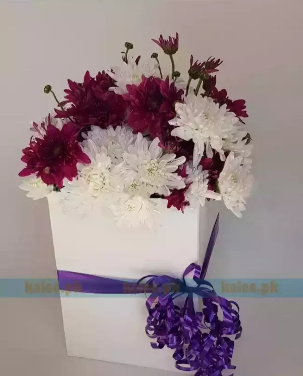 White & Maroon Daisy Flowers Box