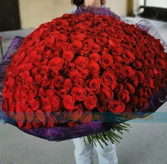 A lavish bouquet of 100 imported red roses arranged in a grand display.