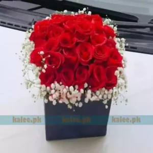 Red Rose Flowers & Baby Bud Box