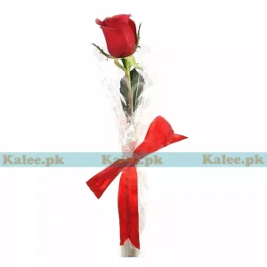 A single red rose delicately wrapped in plastic with a ribbon.
