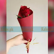 A single red rose exuding sophistication and elegance.