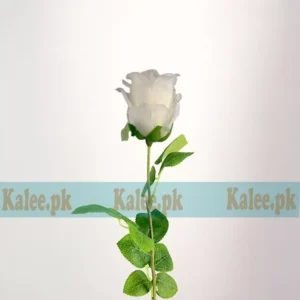 A single white rose bloom with imported quality.