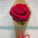 A single red rose presented in a classy design.
