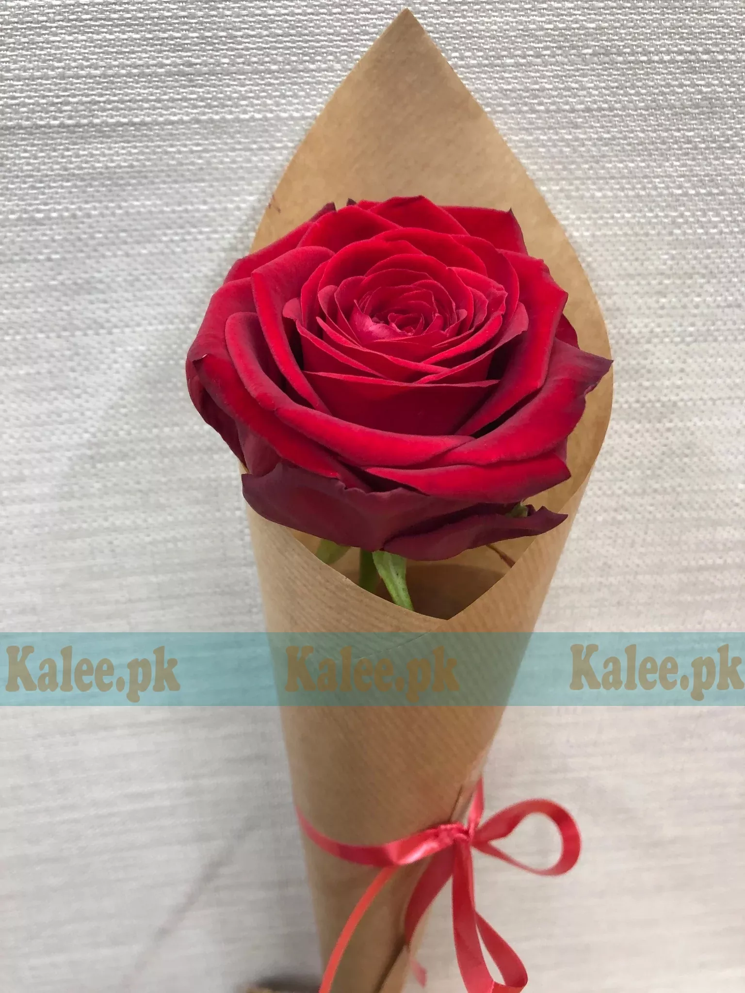A single red rose presented in a classy design.