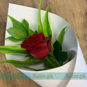 A single red rose delicately wrapped in white paper.