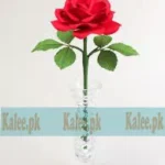 A stunning red rose bloom.