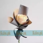 A single creamy white rose bloom.