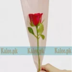 A single red rose delicately wrapped in clear plastic.