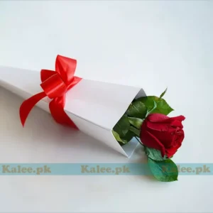 A single red rose delicately wrapped in paper and ribbon.