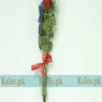 A single red rose delicately wrapped in clear plastic.