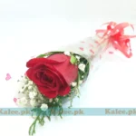 A single red rose adorned with baby's breath and wrapped in clear plastic.