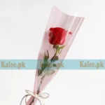 A single red rose delicately wrapped in clear plastic.