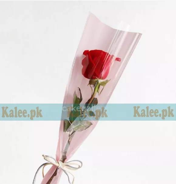 A single red rose delicately wrapped in clear plastic.