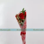 A majestic red rose accompanied by delicate baby's breath.