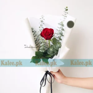 A single red rose delicately wrapped in crisp white paper.