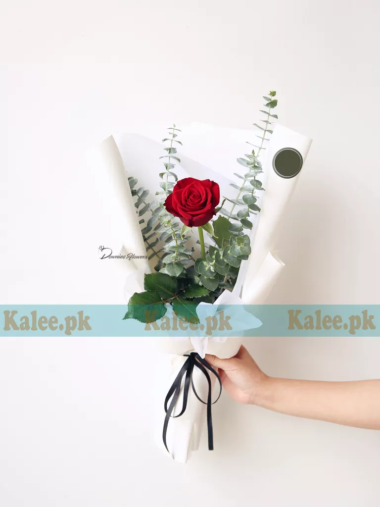 A single red rose delicately wrapped in crisp white paper.