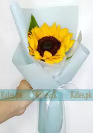 A single sunflower beautifully wrapped in classic paper.