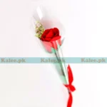 A single red rose delicately wrapped in clear plastic.