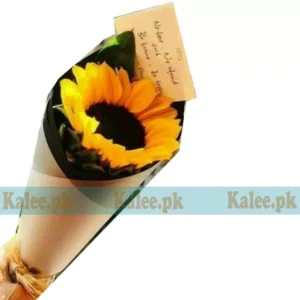 A sunflower displayed elegantly in a minimalist vase.