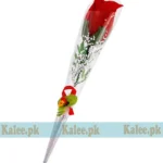 A single red rose delicately wrapped in clear plastic.