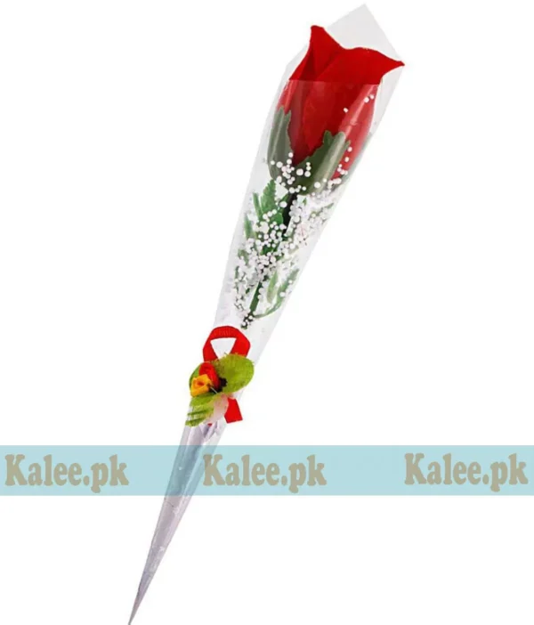 A single red rose delicately wrapped in clear plastic.