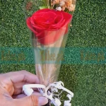Single Rose Flower with Baby’s Breath, elegantly wrapped with a ribbon.