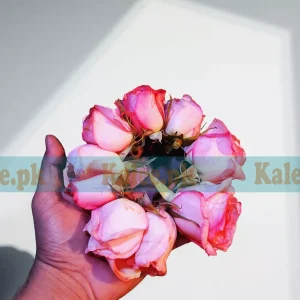 Pink Rose Flowers Kangan Gajre Pair
