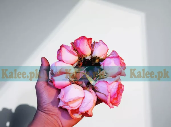 Pink Rose Flowers Kangan Gajre pair for brides and festive occasions
