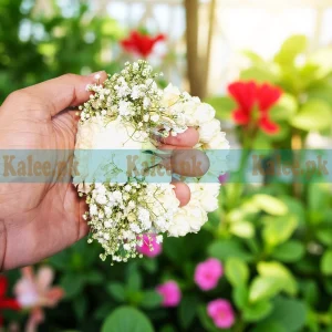 Daisy & Baby's Breath Bridal Gajray Pair With Motia