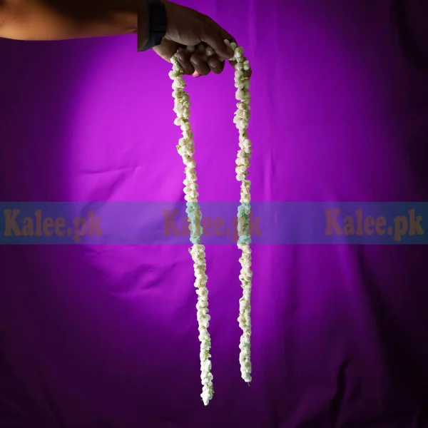 Jasmine Flower Strip 6 Feet Long