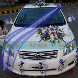 Blue And White Glades Car Decor for Wedding